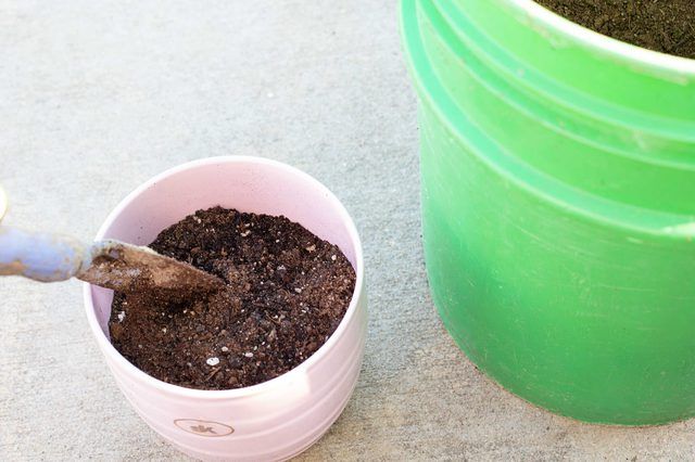 Learn How to Use Peat Moss | How to guides, tips and tricks